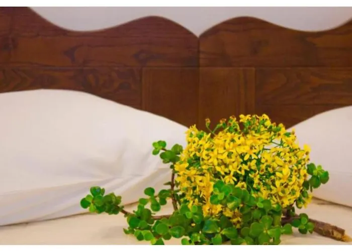 With View Adamantas (Milos)